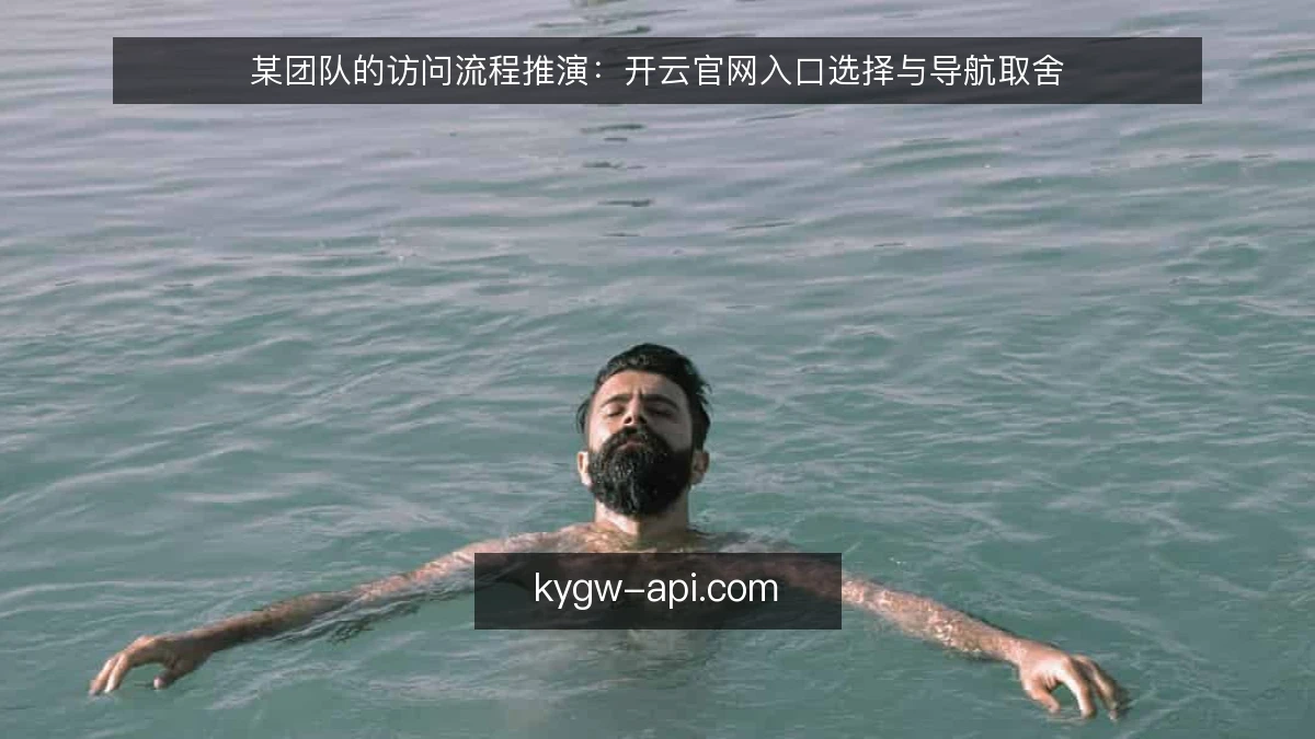 某团队的访问流程推演:开云官网入口选择与导航取舍